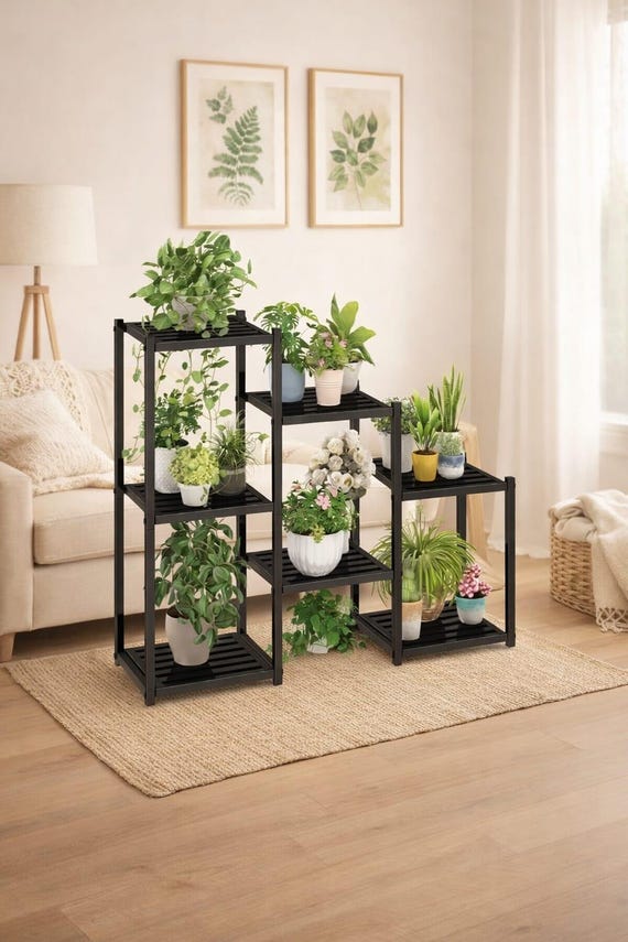 buy philodendron online eu Philodendron Gloriosum | Uprooted