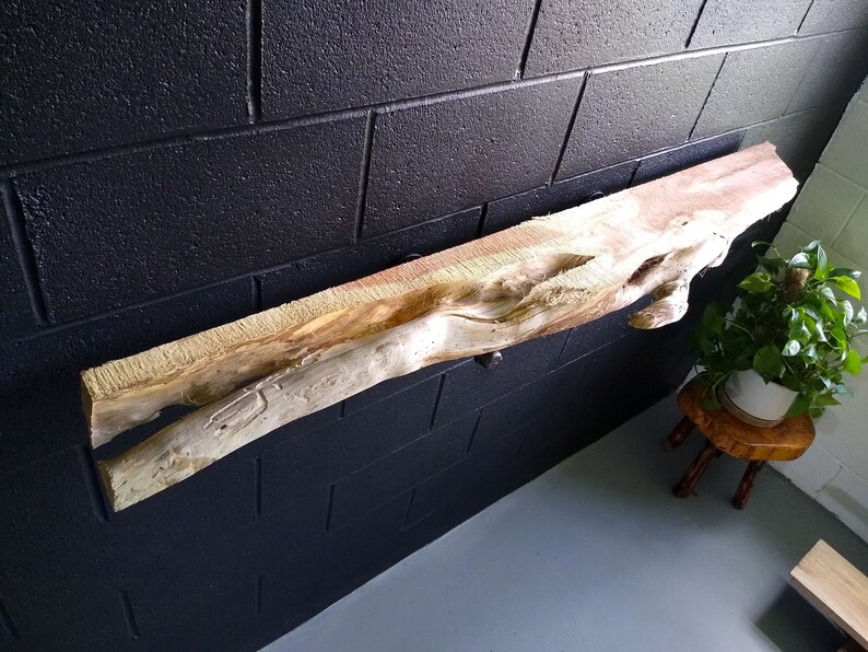 The 5 Best Epoxy Resin Live Edge Shelf Reviews in 2022 3
