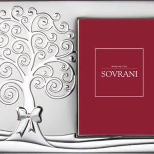 Mat Silver Photo Frame
