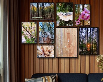Lithuanian Forest Spring Photo Poster Set – Printable Nature Wall Art (Digital Download)
