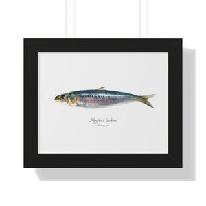 Vintage Sardine Fish Framed Poster for Fishing Enthusiasts, Rustic Home Decor, Gift for Anglers, Nature Art, Fishing Wall Art