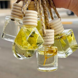 May include: A set of six small glass bottles with wooden tops and a string for hanging. The bottles are filled with a clear liquid and contain dried flowers.