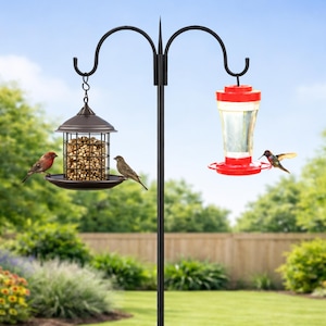 May include: A black metal bird feeder pole with two hanging feeders. One feeder is a caged style with birdseed, and the other is a red and clear hummingbird feeder. Two small birds perch on the feeders, and a hummingbird hovers near the other.