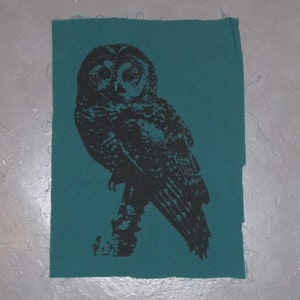 May include: A black and white silhouette of an owl on a teal fabric background.