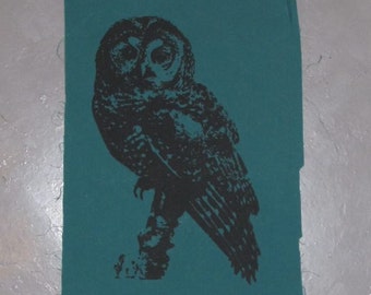 Owl Patch - Northern Spotted Owl - choose color - hoot patch, owls are not what they seem, owl bird nature punk wild cascadia forest, eco