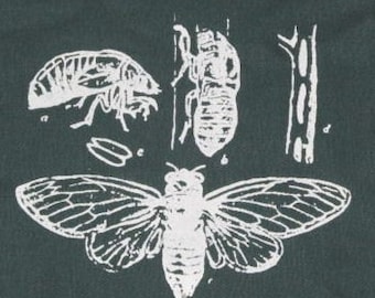 łatka owadów - Plama cyklu życia cykady - Zielona - łatki owadów, łatka naukowa, biologia stworzeń owadów, łatka przyrodnicza geek punk, dzieci, dzieci
