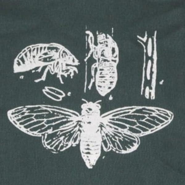 Insekten Aufnäher, Cicada Life Cycle Patch, Grün, Geek Patch, Insekten Patch, Insekten Patch, Insekten Patch, Insekten Patch, Insekten Patch