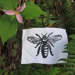 May include: A black and white bee illustration printed on a white fabric square. The fabric is lying on a bed of green ferns and brown leaves.