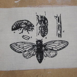 Insect Patch, Cicada Life Cycle Patch - Black ink on Natural Beige White canvas - Insect, Bug Silkscreen Screenprint Image, punk patch