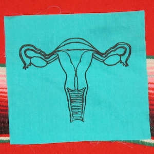 May include: A turquoise fabric patch with a black line drawing of a female reproductive system.