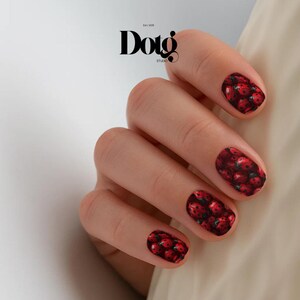 May include: Close-up of a hand with manicured nails. Each nail is adorned with a detailed ladybug design, featuring red and black patterns. The image includes the "Dotg Studio" logo.