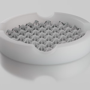 Soap Dish 01