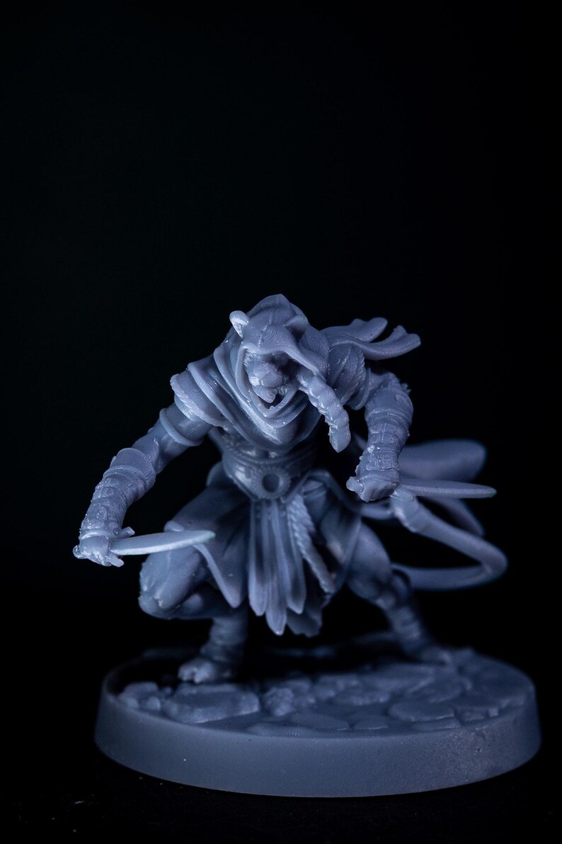 May include: A gray miniature figure of a hooded warrior, holding two blades in a combat stance. The figure is detailed with armor and a flowing cloak, set against a dark background. The miniature is on a round base.