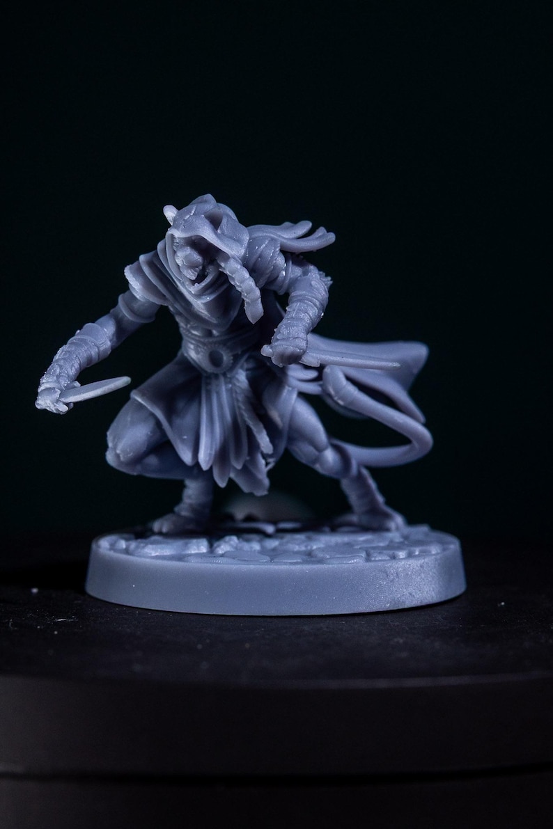 May include: A gray miniature figure of a hooded warrior in a dynamic pose, holding two small blades. The figure is detailed with armor and flowing fabric, set on a circular base. The background is dark.