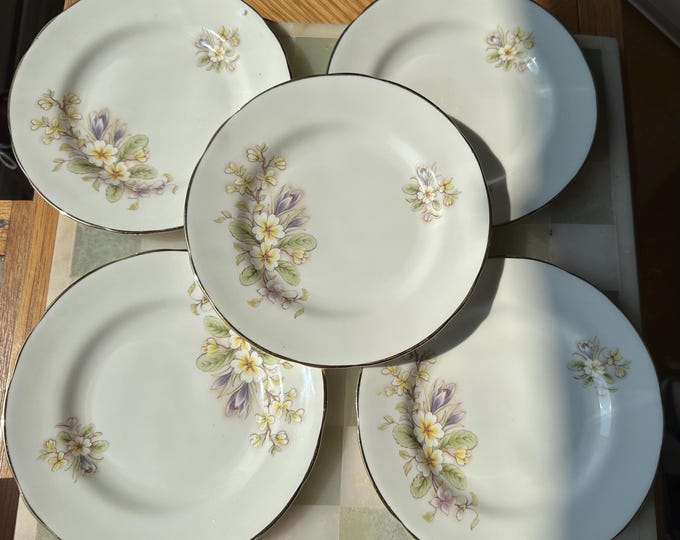 Vintage Bone China Argyle Plates - Set of 5, England - Delicate Floral Pattern