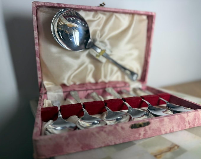 Vintage EPNS Silver Plated Dessert Spoon  Ladle Set  7 Piece FruitPunch Set