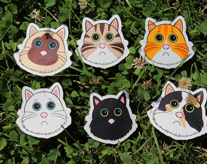 Adopt a Cat Sticker Bundle