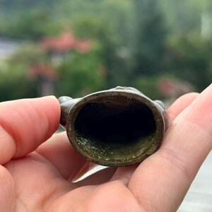 May include: A close-up view of a bronze-colored, hollow object with a dark interior. The object has a circular opening and appears to be made of metal. The background is blurred, with green foliage visible.