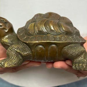 May include: A bronze-colored turtle figurine with detailed shell and textured skin. The sculpture is held in two hands, showcasing its intricate design and craftsmanship. The turtle's head is extended, and its legs are visible.
