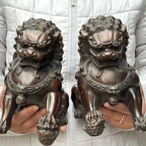 Może przedstawiać: Para brązowych posągów Foo Dog. Każdy posąg ma szczegółową grzywę, groźny wyraz twarzy i bogate zdobienia wokół szyi i łap. Te dekoracyjne rzeźby są klasycznym symbolem ochrony i dobrobytu.