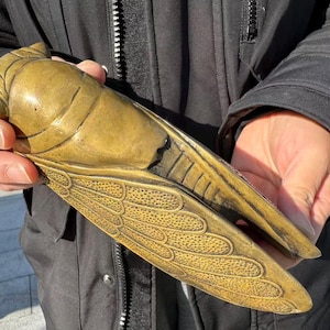 May include: A golden-colored, detailed sculpture of a cicada insect. The sculpture is held in a person's hands, showcasing the intricate design of the wings and body. The cicada's wings have a textured pattern, and the body has a smooth, metallic finish.