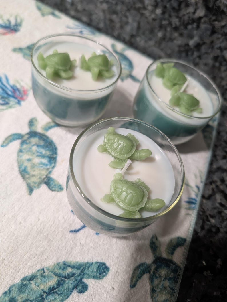 Sea Turtle Candles - Etsy