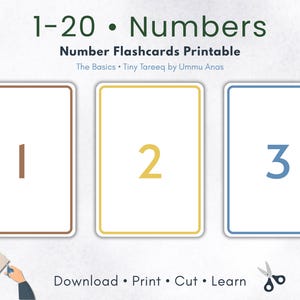 May include: Printable number flashcards showing the numbers 1, 2, and 3. Each number is on a white card with a coloured border. The text "1-20 Numbers" and instructions are also included.