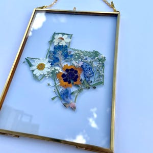 Cornice con fiori pressati del Texas / Fiori veri pressati / Cornice da appendere 5x7