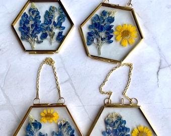 Marco con flor de lupino azul prensada / Arte con flores silvestres auténticas de Texas / Decoración botánica para pared