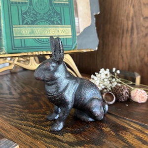 May include: A dark brown, textured cast iron rabbit figurine in a seated position. The surface of the metal shows subtle reddish-brown highlights and a weathered finish, capturing the rabbit with upright ears and a rounded body profile.