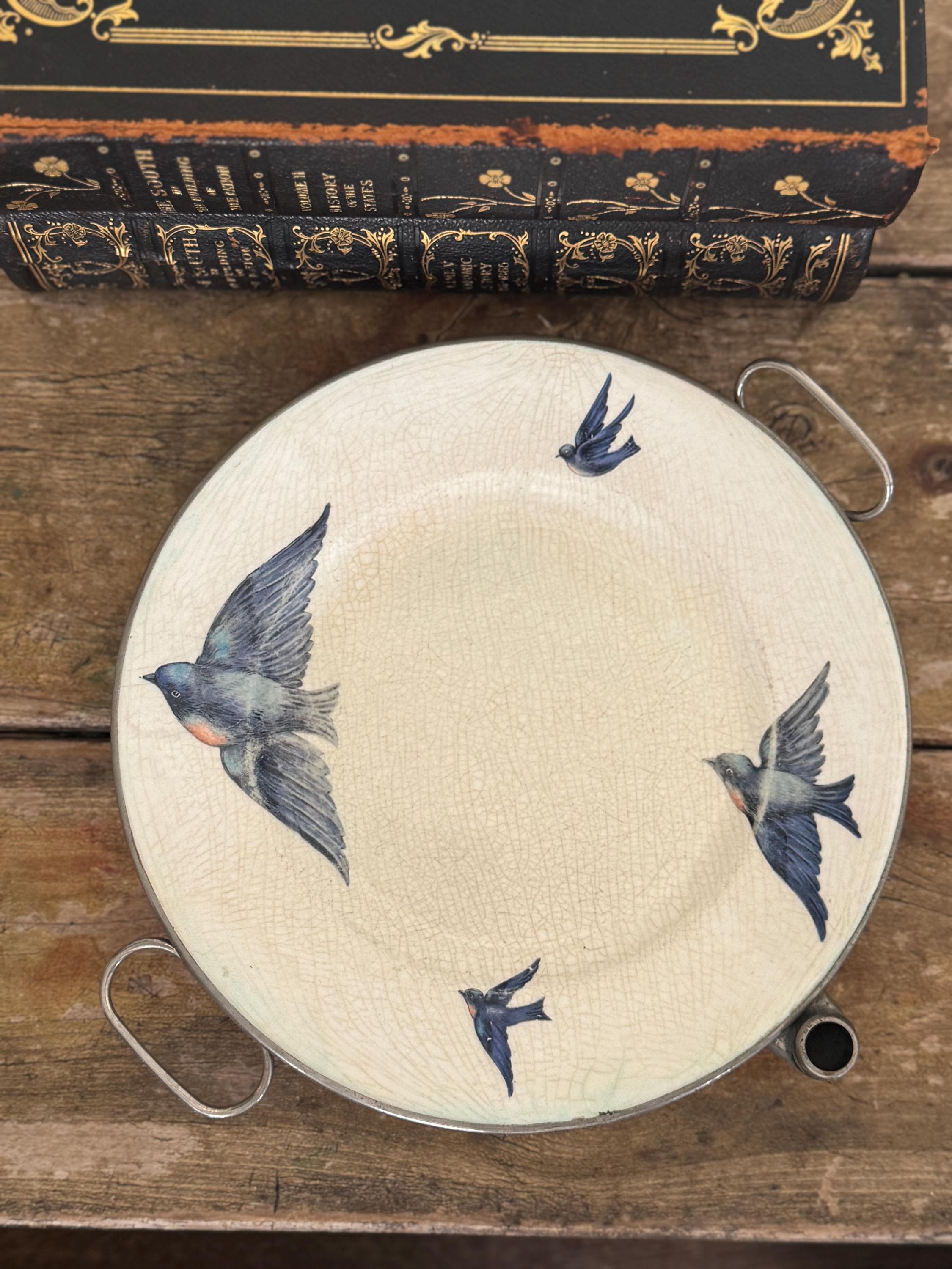 日本野鳥の会佐賀県支部, image size:2250x3000