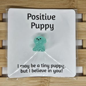 Positive Pocket Pals Puppy