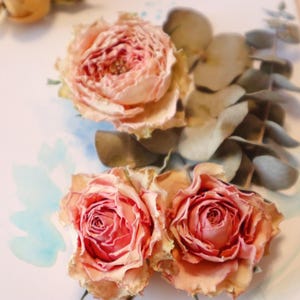 Blush & Bloom – Handmade Dried Rose Card for Mother’s Day, Birthday, Special Occasion, valentines – Elegant Rustic Botanical Gift