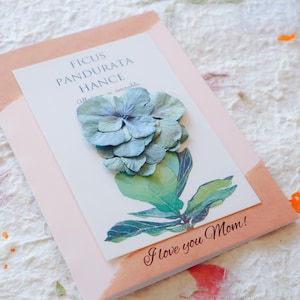Hortensia - carte de fleurs séchées à la main - fête des mères, anniversaire, occasion spéciale - élégant cadeau botanique rustique