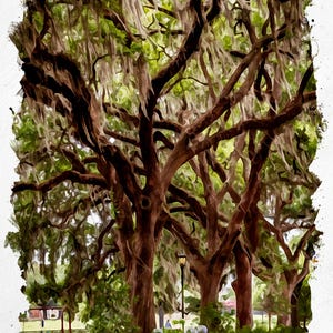 Watercolor Print of the Oak trees of Savannah, Georgia