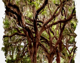 Watercolor Print of the Oak trees of Savannah, Georgia