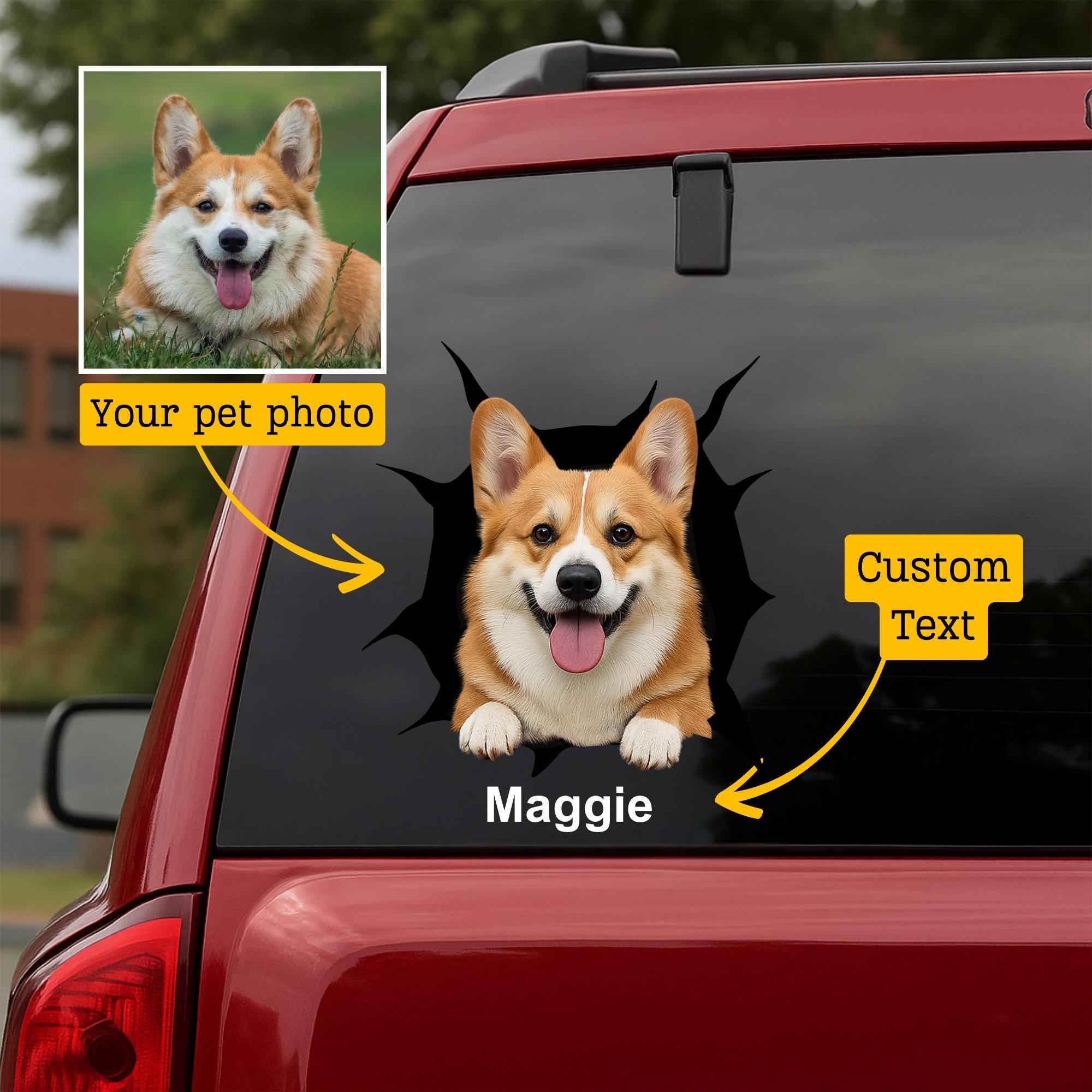 Pet Car Decal Singapore