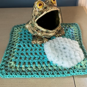 Frog Scrub Holder