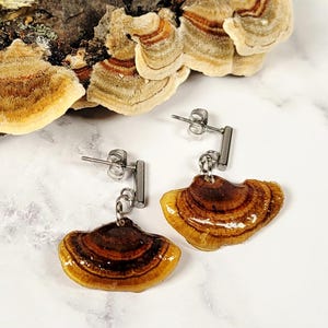 May include: A pair of dangle earrings featuring small, polished bracket fungi with concentric rings of brown, tan, and cream. The fungi are attached to silver-toned metal stud posts with a vertical bar design and secure butterfly earring backs.