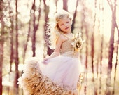 Angelic Fairy Swan....An Exquisite Dress Of Chiffon and