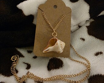 Seashell Necklace