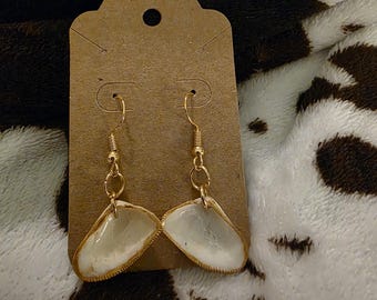 Dainty Seashell earrings