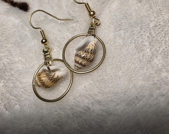 Dainty Shell Hoops
