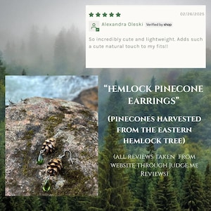 Puede incluir: Pendientes de pi&ntilde;a de hemlock con detalles de l&aacute;grima verde. Los pendientes est&aacute;n hechos de pi&ntilde;as recolectadas del &aacute;rbol de hemlock oriental. La imagen incluye una rese&ntilde;a de un cliente y el texto "Hemlock Pinecone Earrings".