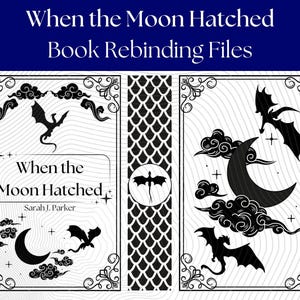 When the Moon Hatched book rebind file cover design