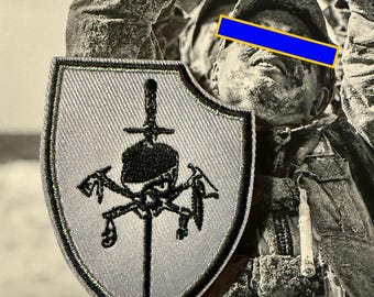 devgru silver squadron メダル s-l1200.png