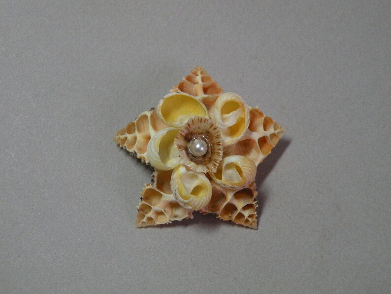 Shell Brooce Vintage Seashell Star Brooch - Etsy