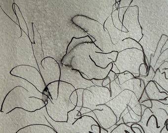 Molly J Schiff Mid-Century Ink Floral  Painting