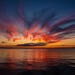 Dawn