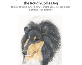 May include: A guide titled "Coloured Pencil Techniques" with instructions on drawing a Rough Collie Dog. The image shows a detailed drawing of a Collie's head with black, white, and tan fur. The artist's name and contact details are at the bottom of the page.